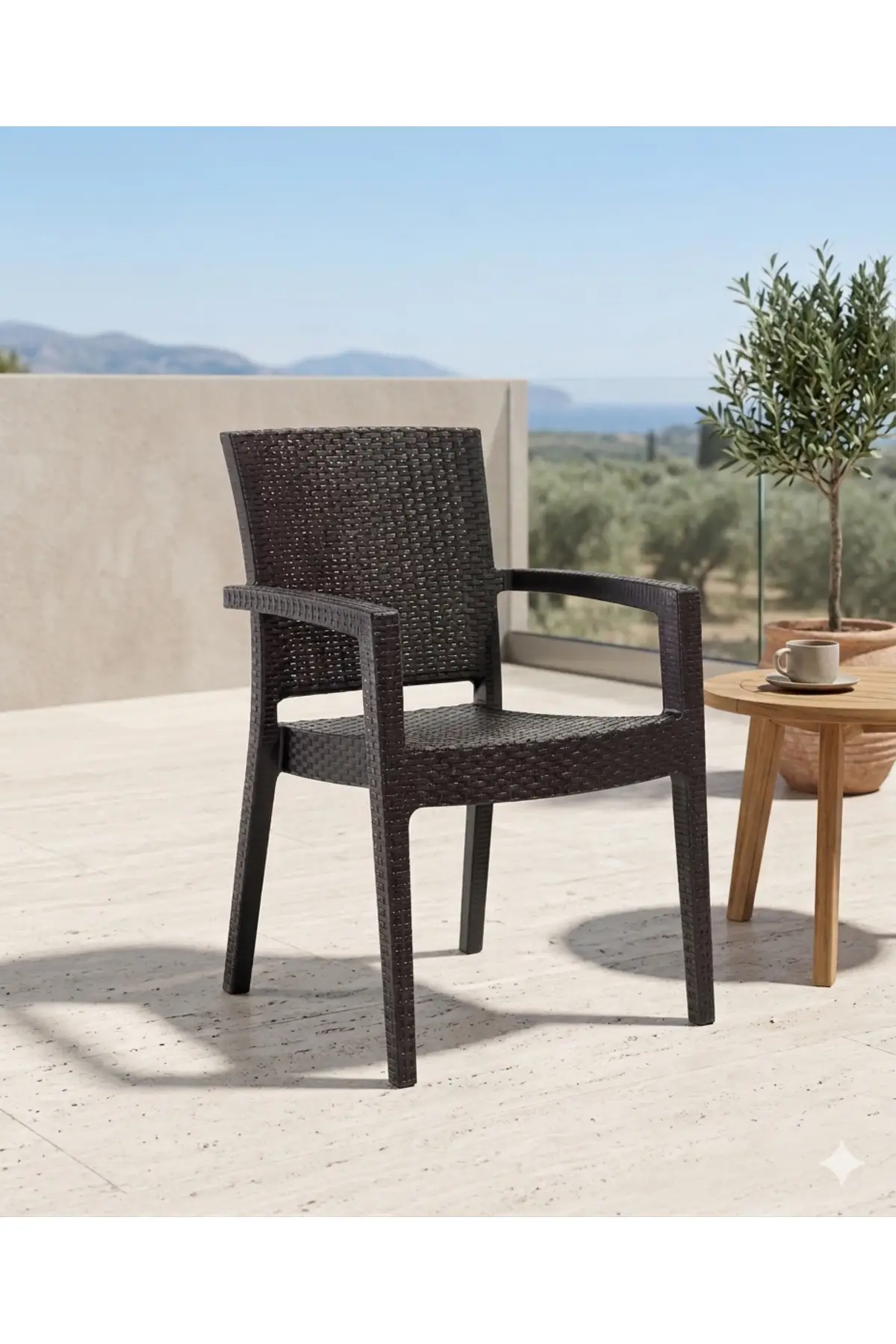 Paris Rattan Koltuk 4'LÜ PAKET